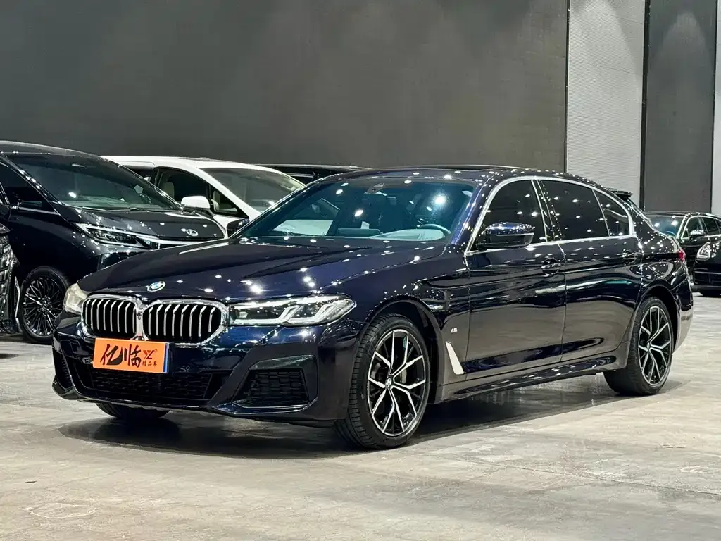 BMW 5 Series 2021 из CN, фото 1