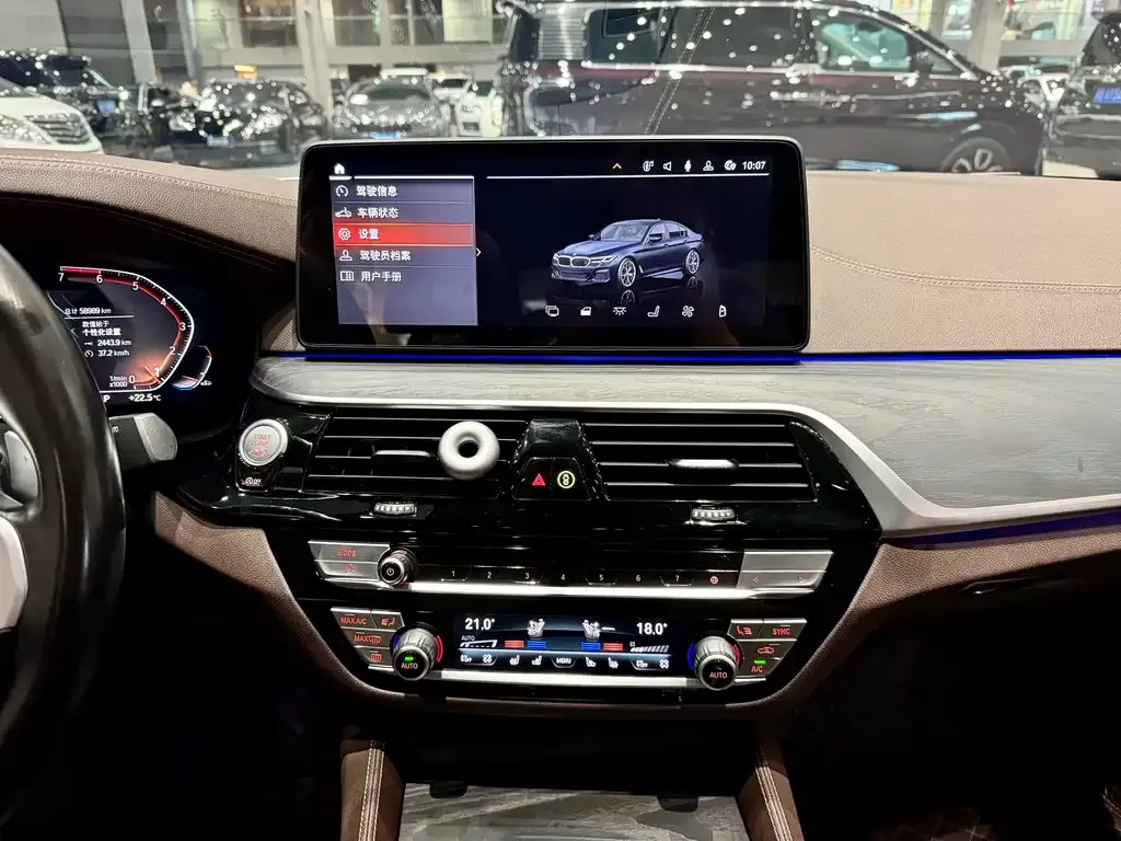 BMW 5 Series 2021 из CN, фото 3