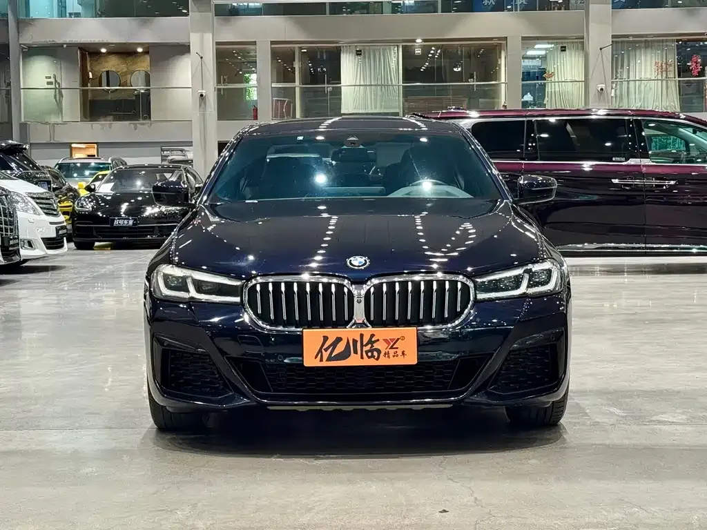 BMW 5 Series 2021 из CN, фото 4