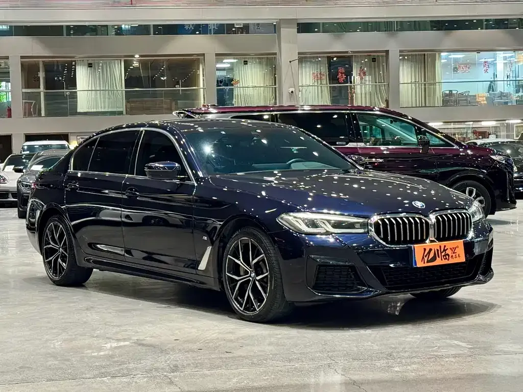 BMW 5 Series 2021 из CN, фото 8