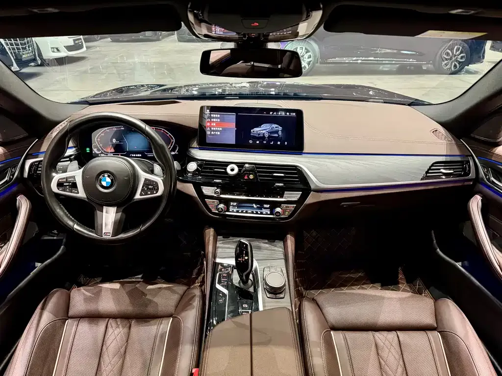 BMW 5 Series 2021 из CN, фото 7