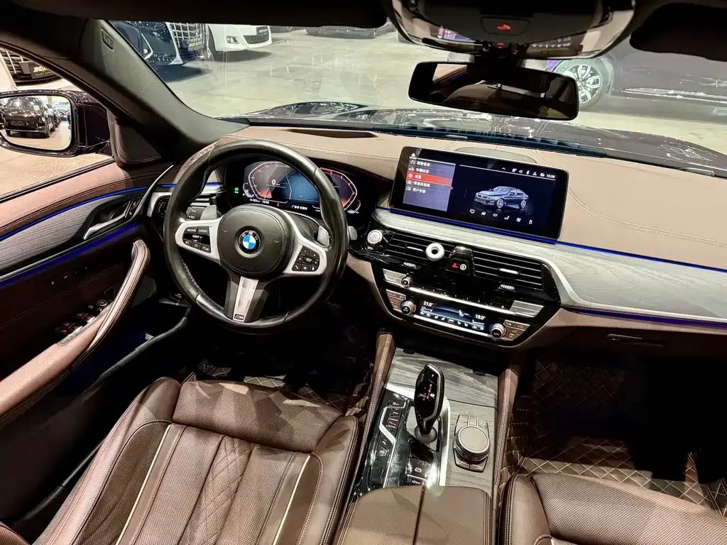 BMW 5 Series 2021 из CN, фото 10