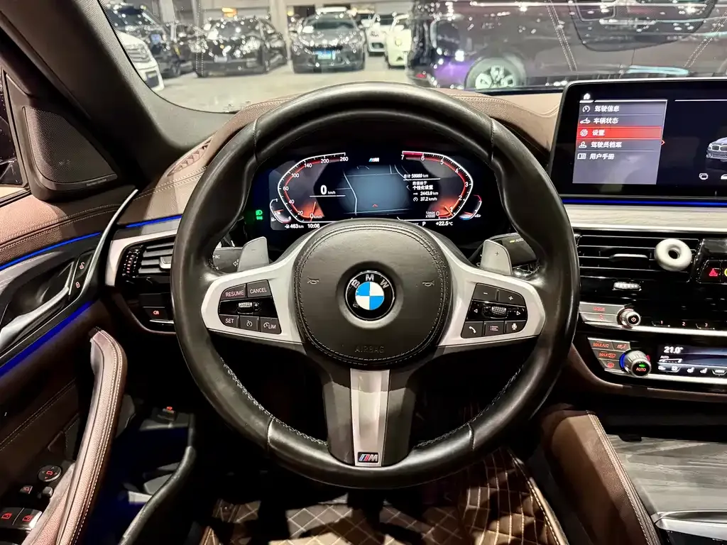 BMW 5 Series 2021 из CN, фото 9