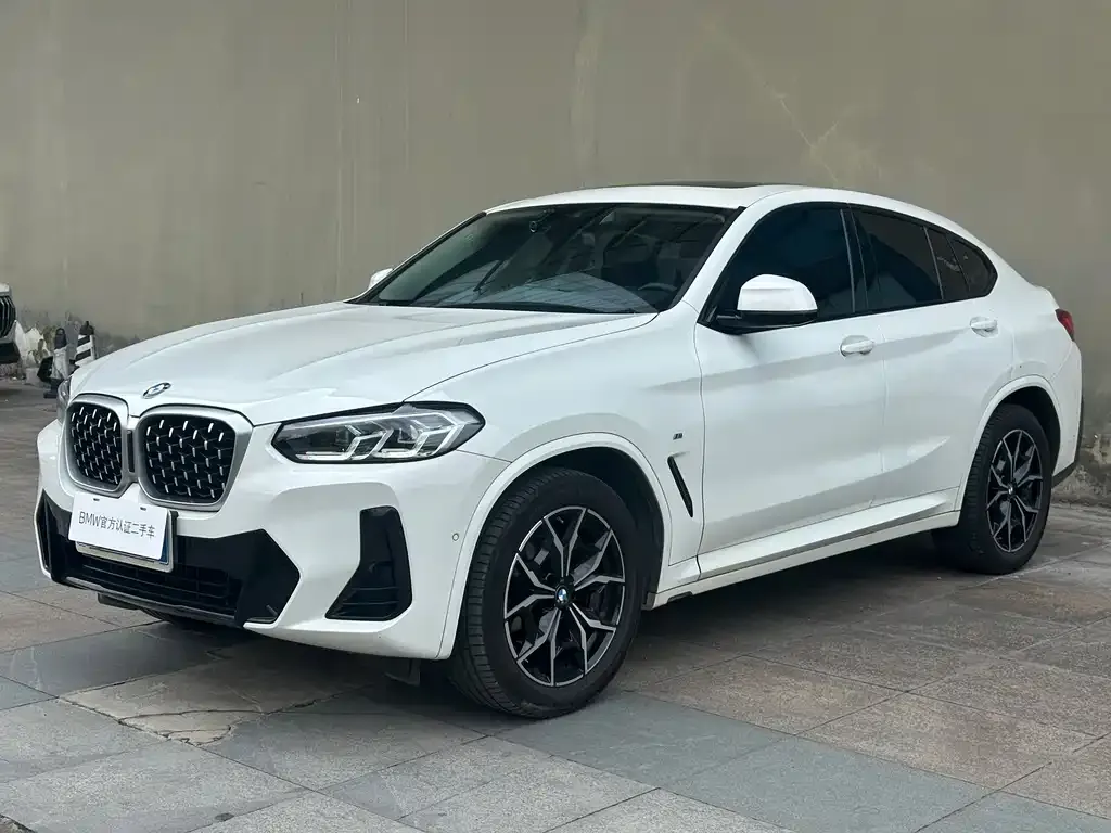 BMW X4 — фото 1