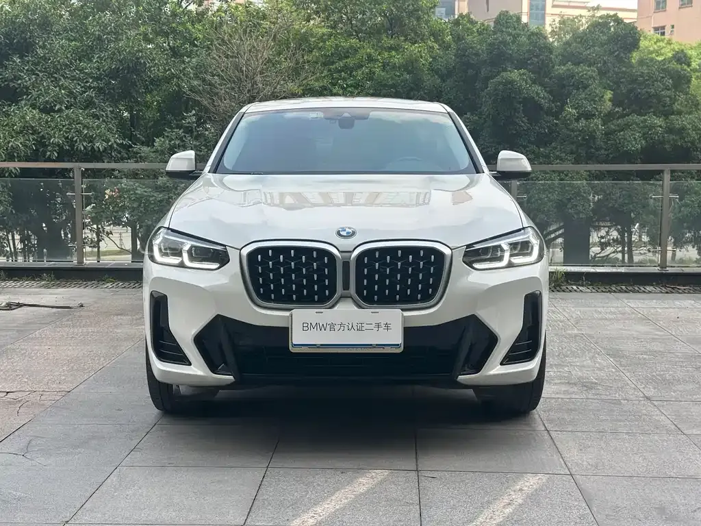 BMW X4 — фото 6