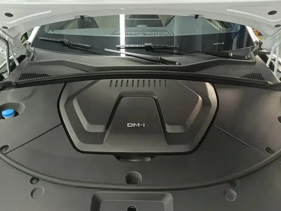 BYD PLUS New Energy — фото 7