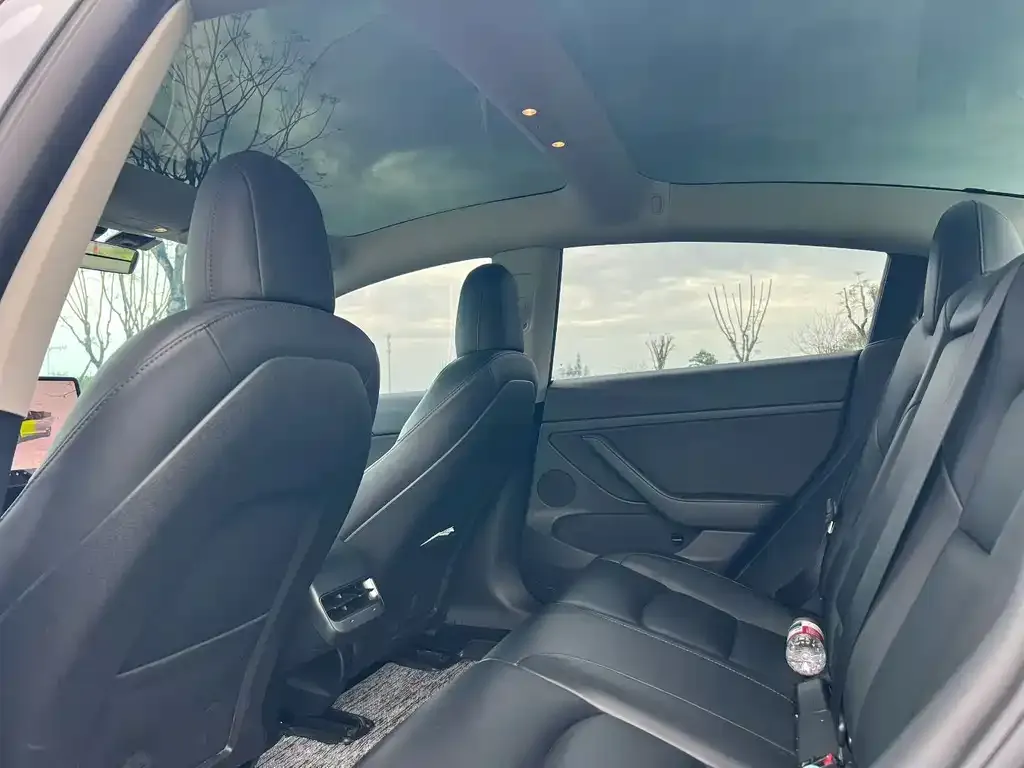 Tesla Model 3 2023 из CN, фото 2