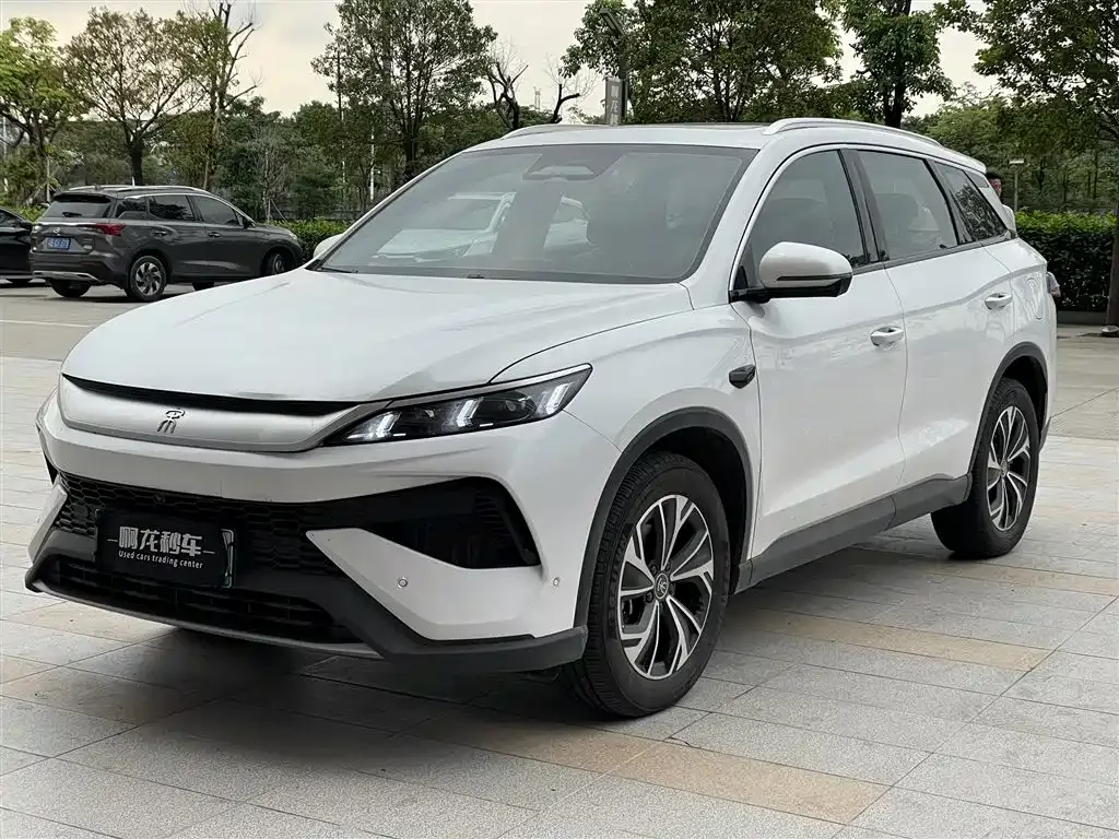 BYD Pro New Energy 2025 из CN, фото 1