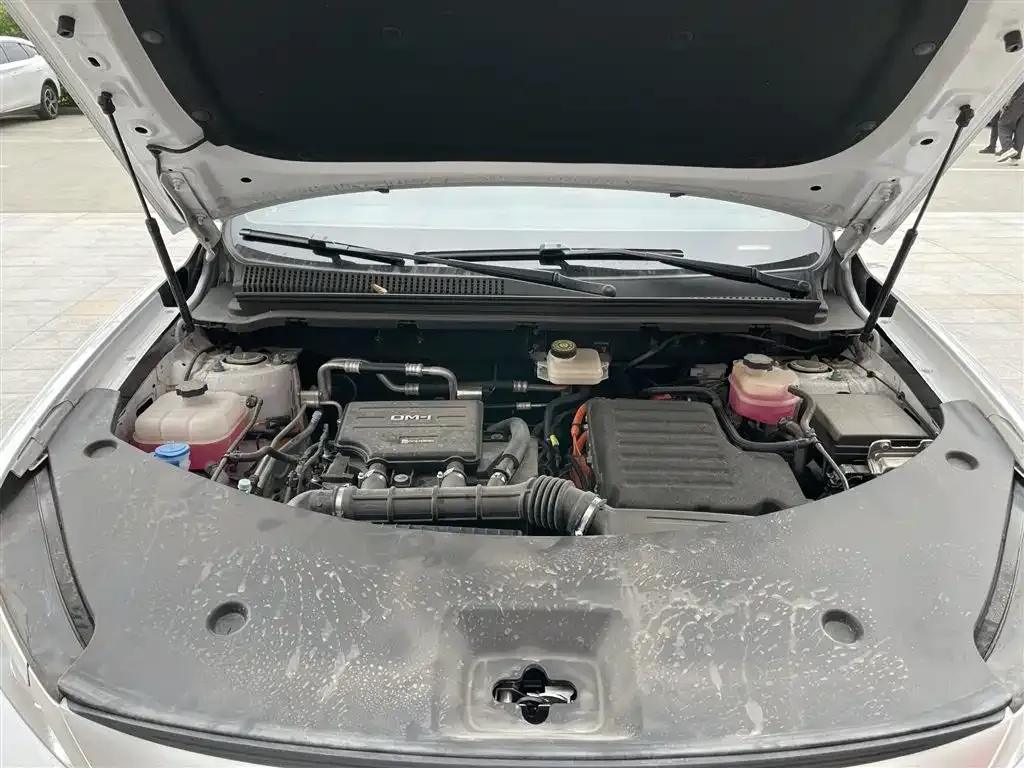 BYD Pro New Energy 2025 из CN, фото 7
