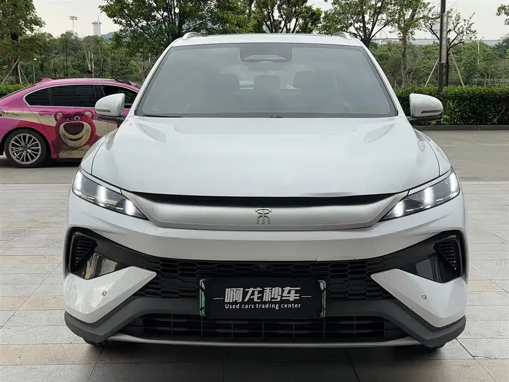 BYD Pro New Energy 2025 из CN, фото 10