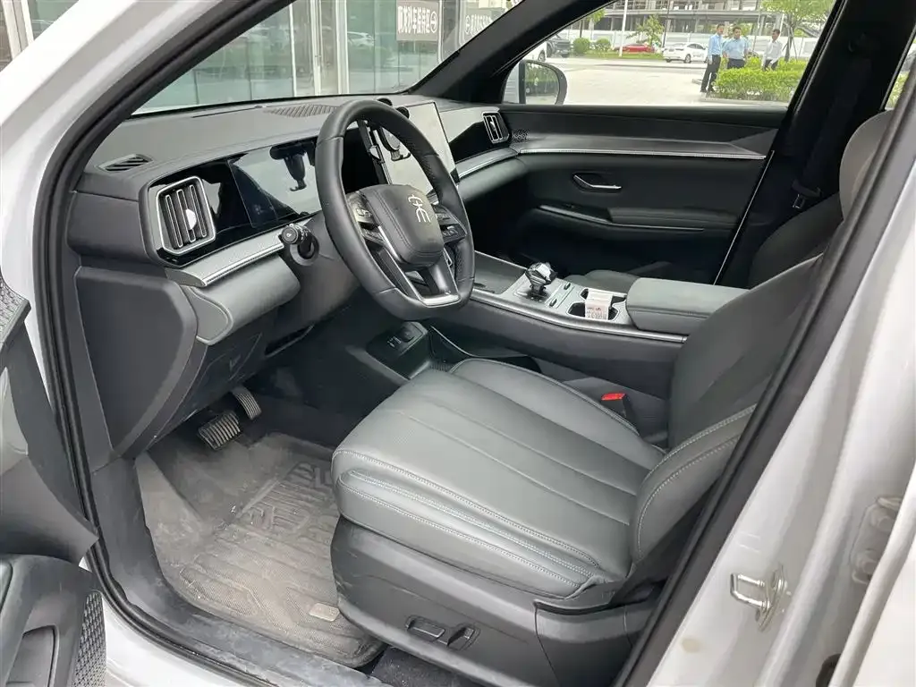 BYD Pro New Energy 2025 из CN, фото 4