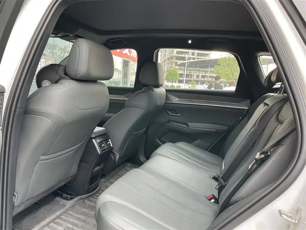 BYD Pro New Energy 2025 из CN, фото 5