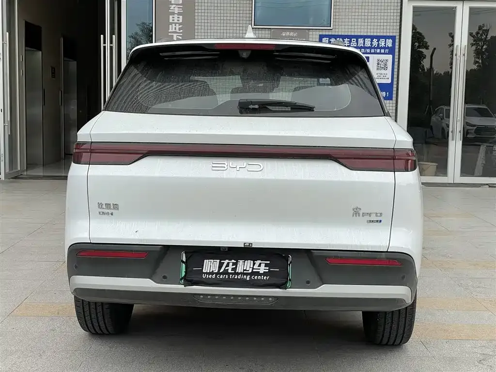 BYD Pro New Energy 2025 из CN, фото 2