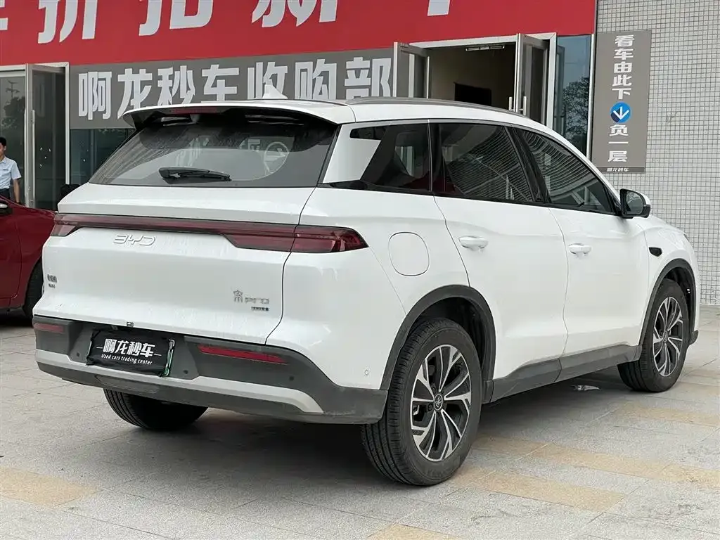 BYD Pro New Energy 2025 из CN, фото 8