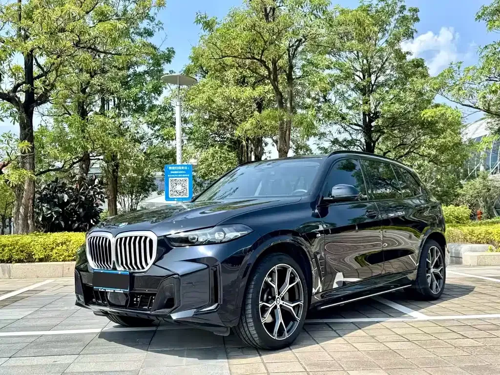 BMW X5 — фото 1
