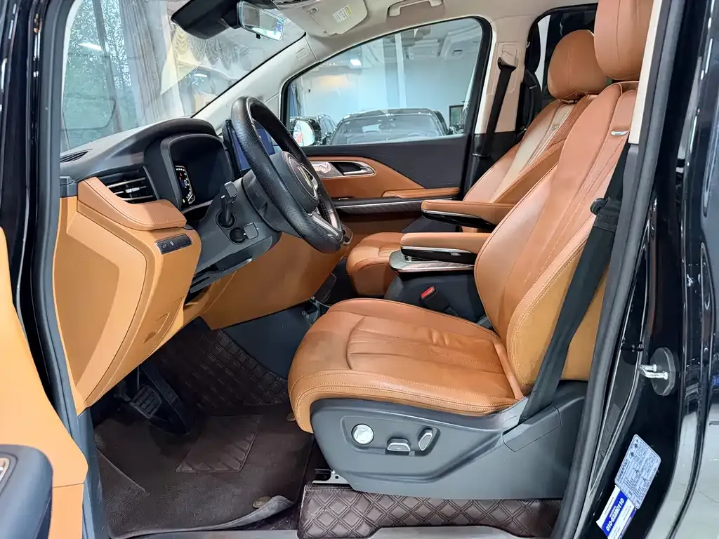 Hongqi HQ9 2024 из CN, фото 3