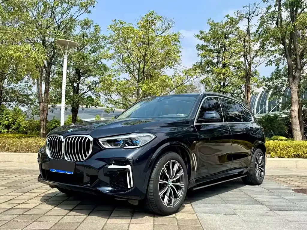 BMW X5 2023 из CN, фото 1