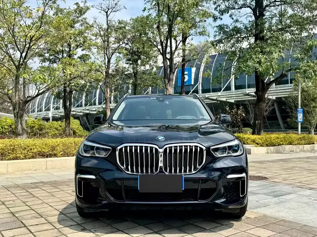 BMW X5 2023 из CN, фото 7