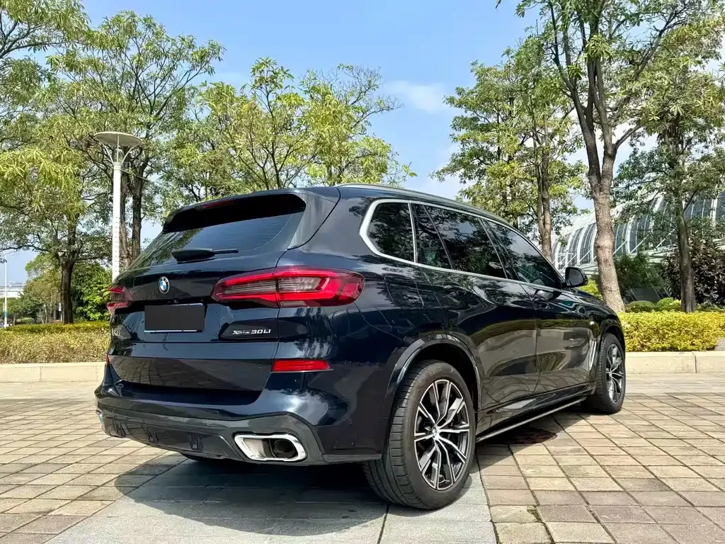 BMW X5 2023 из CN, фото 9