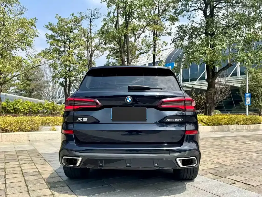 BMW X5 2023 из CN, фото 8