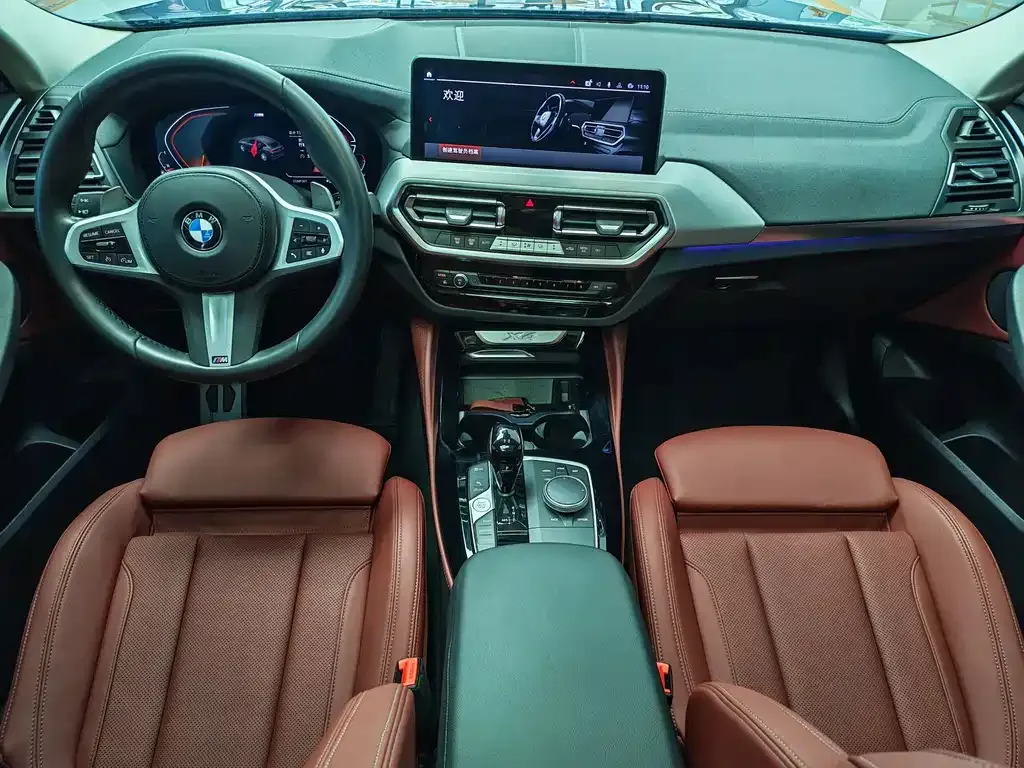 BMW X4 2024 из CN, фото 9