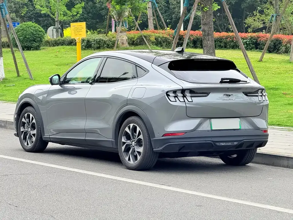 Ford Mustang Mach-E 2022 из CN, фото 10