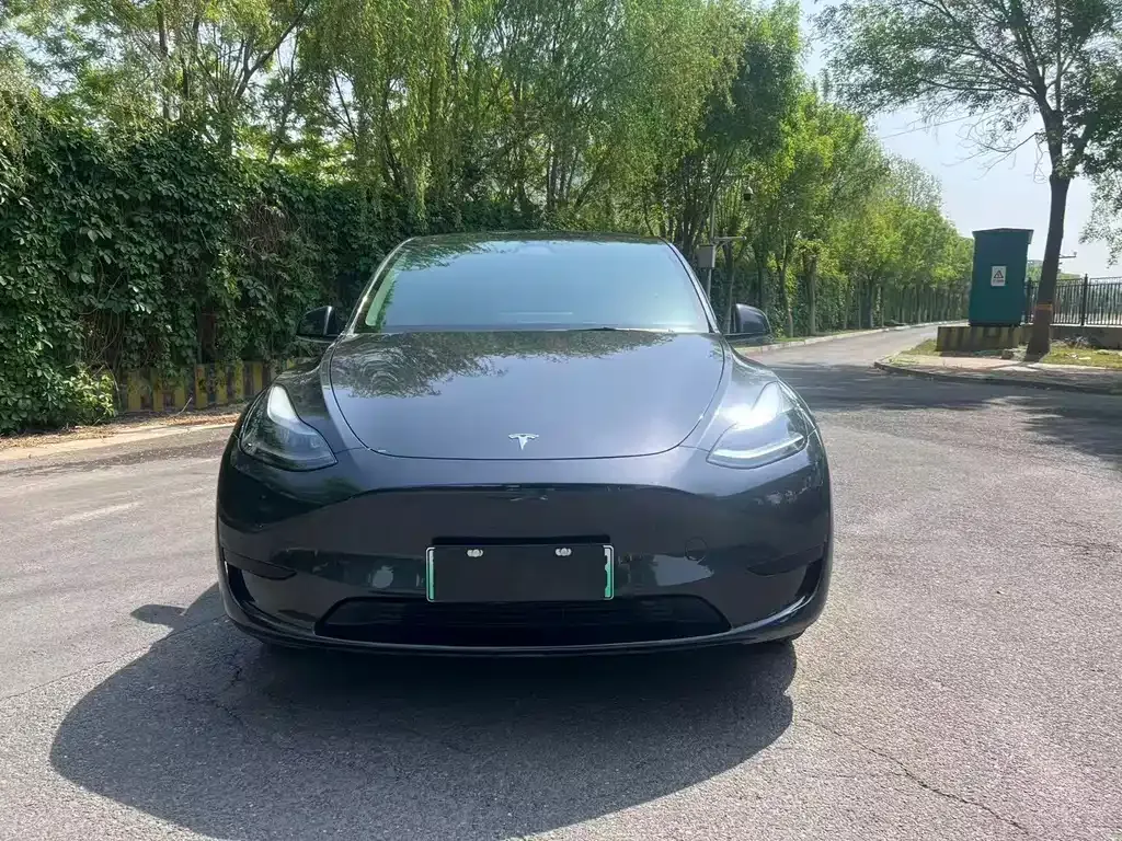 Tesla Model Y — фото 8