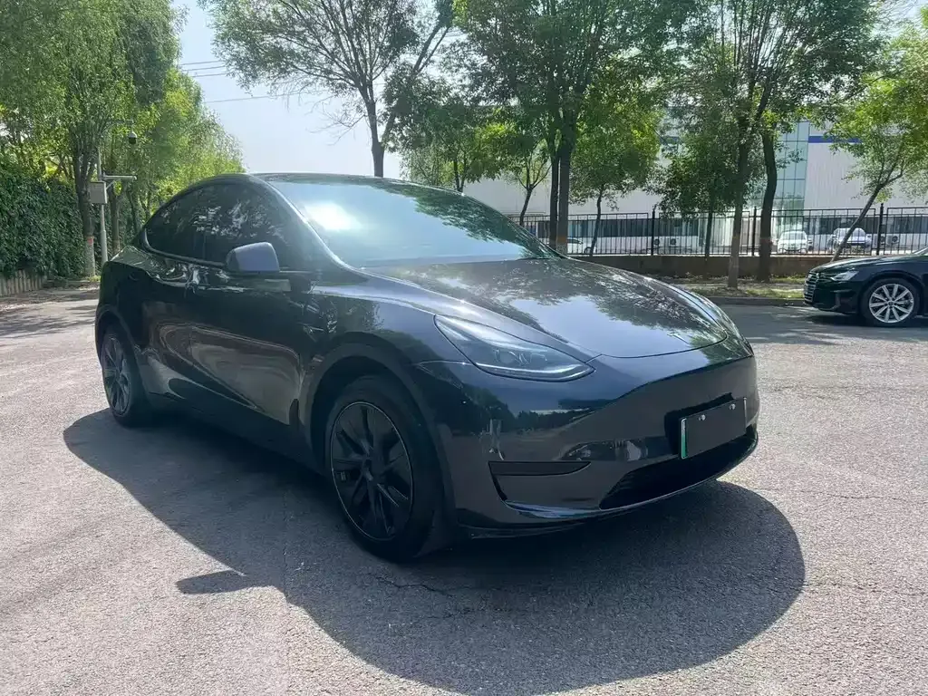 Tesla Model Y — фото 6