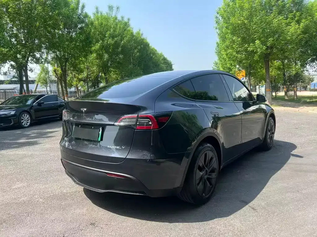 Tesla Model Y — фото 5
