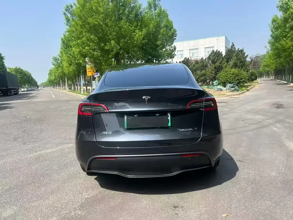 Tesla Model Y — фото 4