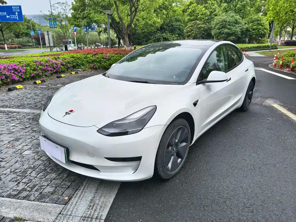 Tesla Model 3 2023 из CN, фото 1