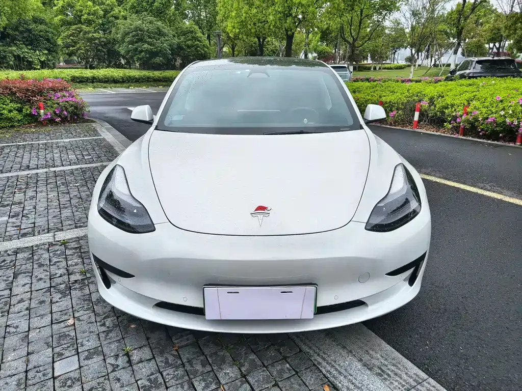 Tesla Model 3 2023 из CN, фото 7