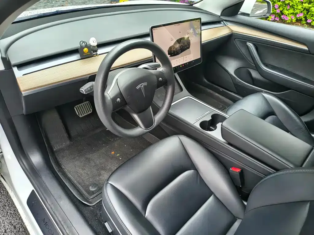 Tesla Model 3 2023 из CN, фото 4