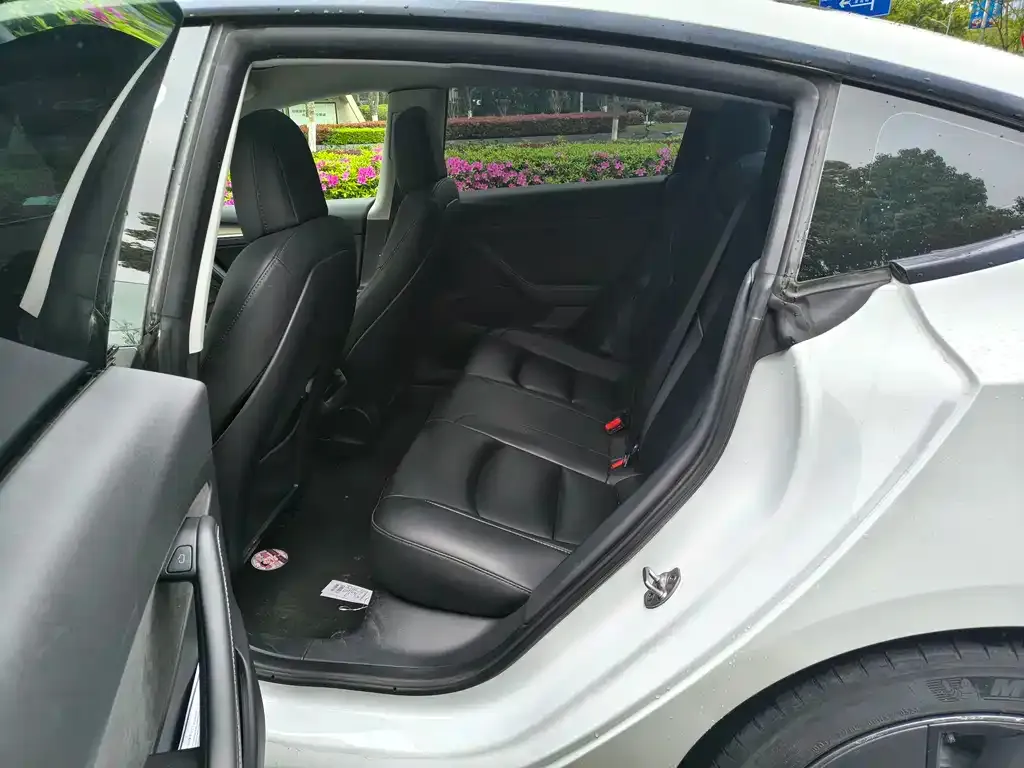Tesla Model 3 2023 из CN, фото 2