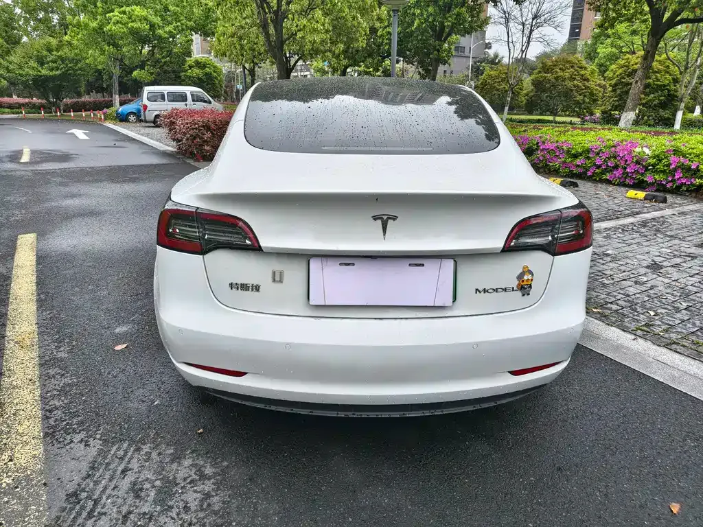 Tesla Model 3 2023 из CN, фото 8