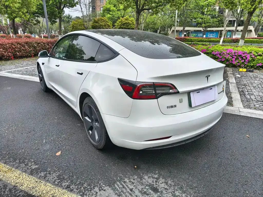 Tesla Model 3 2023 из CN, фото 9