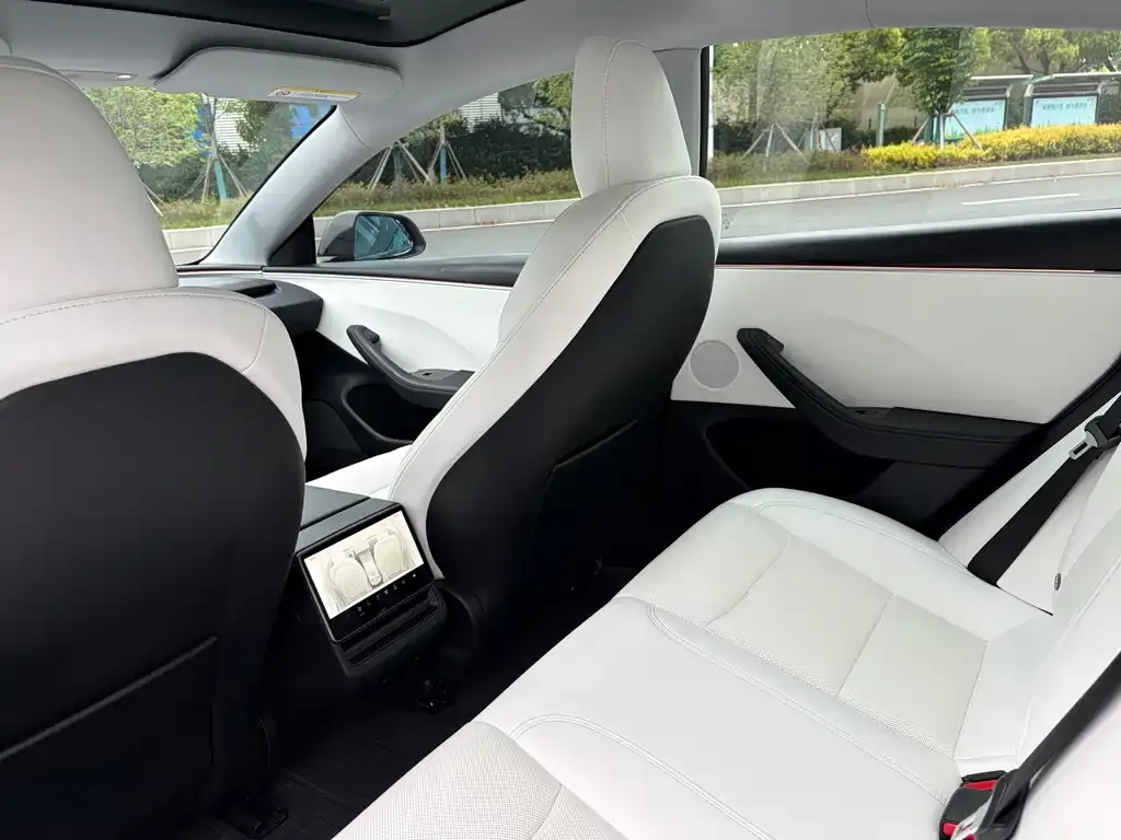 Tesla Model 3 2023 из CN, фото 2