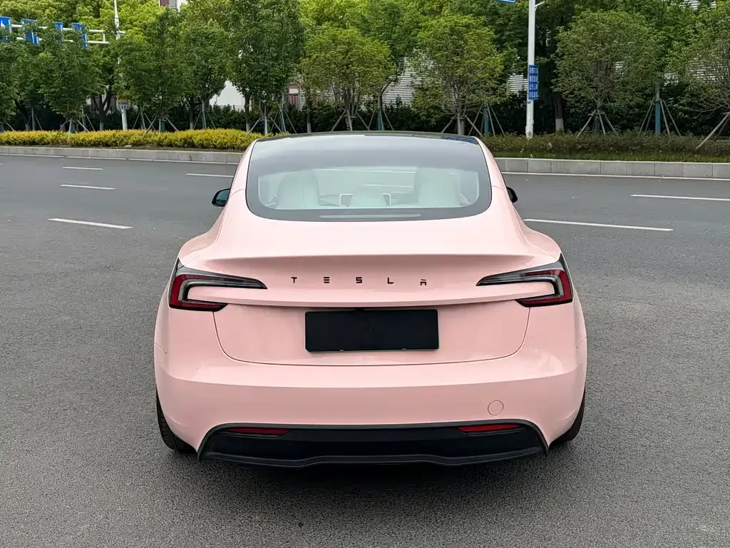 Tesla Model 3 2023 из CN, фото 9