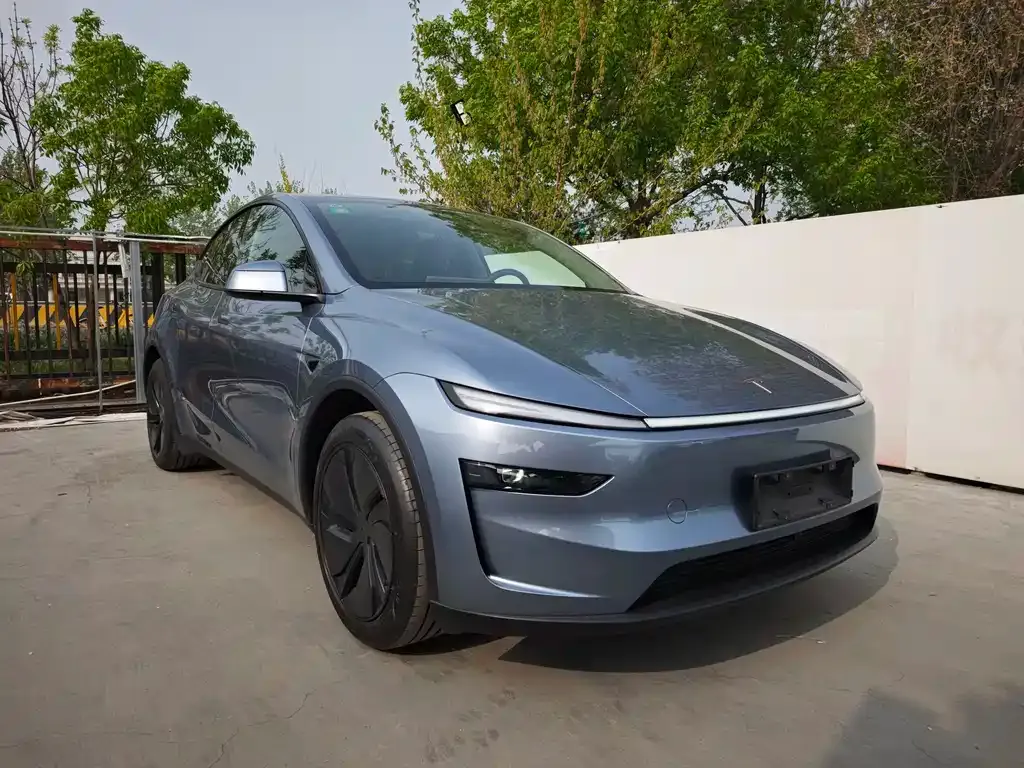 Tesla Model Y — фото 8