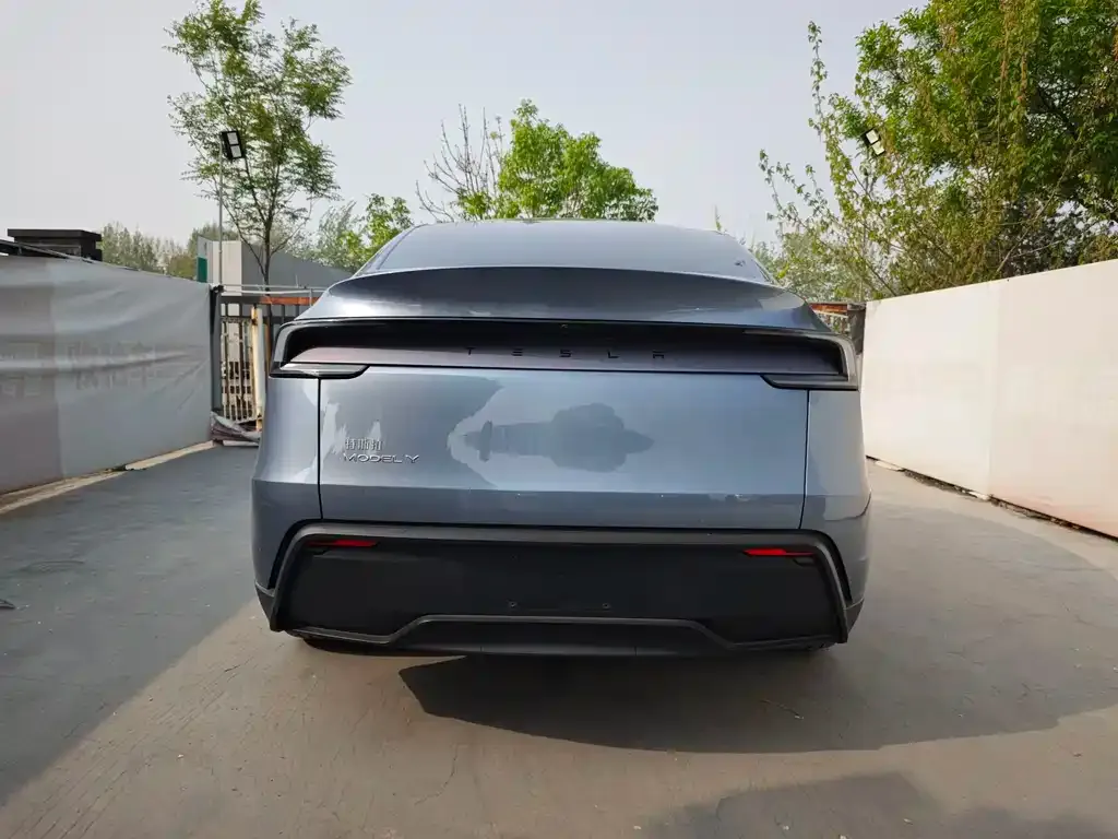 Tesla Model Y — фото 10