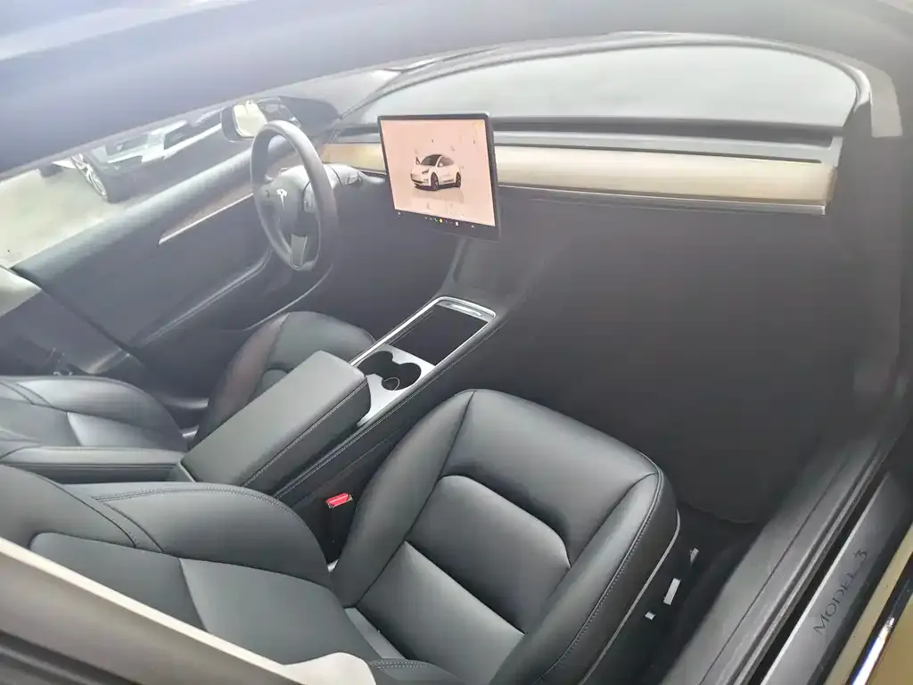 Tesla Model 3 2022 из CN, фото 3