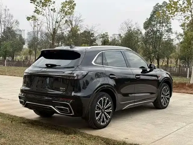 Hongqi HS5 2023 из CN, фото 7