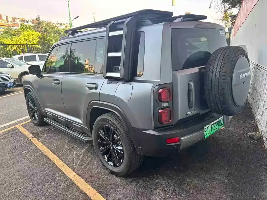Haval Menglong New Energy 2024 из CN, фото 4