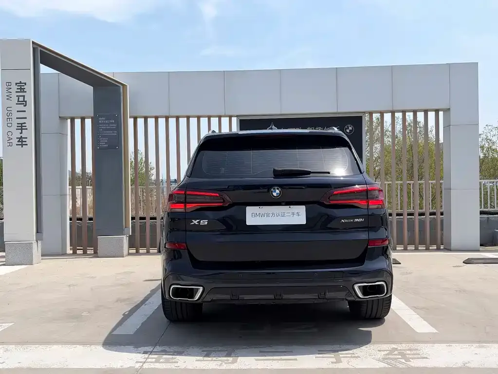 BMW X5 (Import) 2021 из CN, фото 7