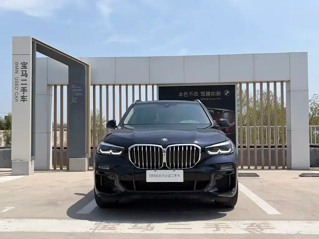 BMW X5 (Import) 2021 из CN, фото 10
