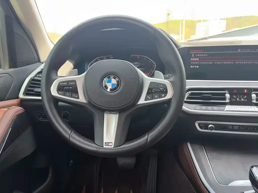 BMW X5 (Import) 2021 из CN, фото 3