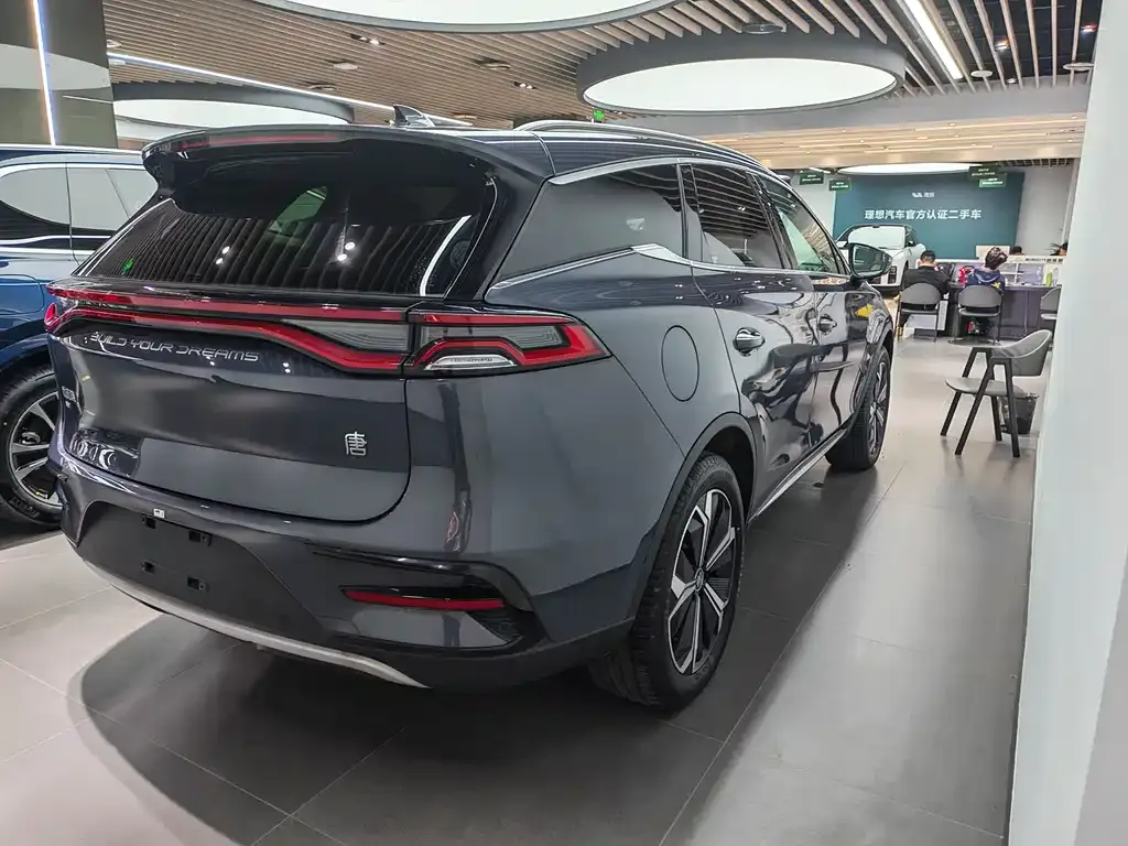 BYD Tang New Energy 2026 из CN, фото 9