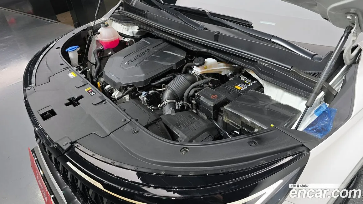Kia Carnival — фото 10