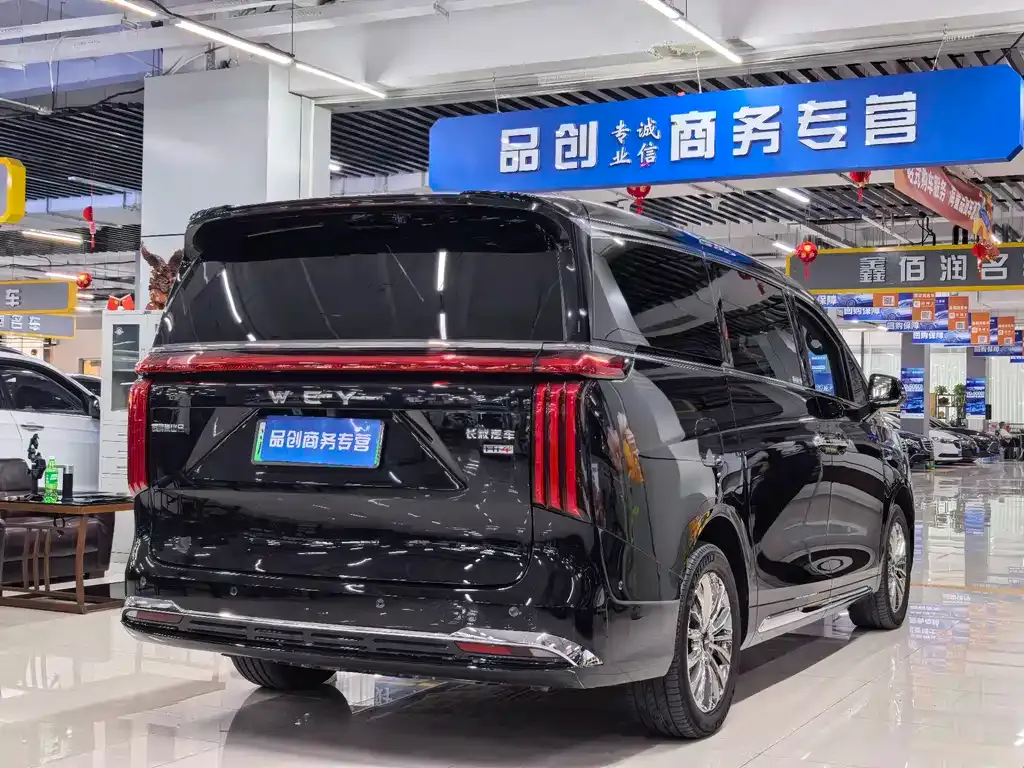 Wey Gaoshan 2025 из CN, фото 7