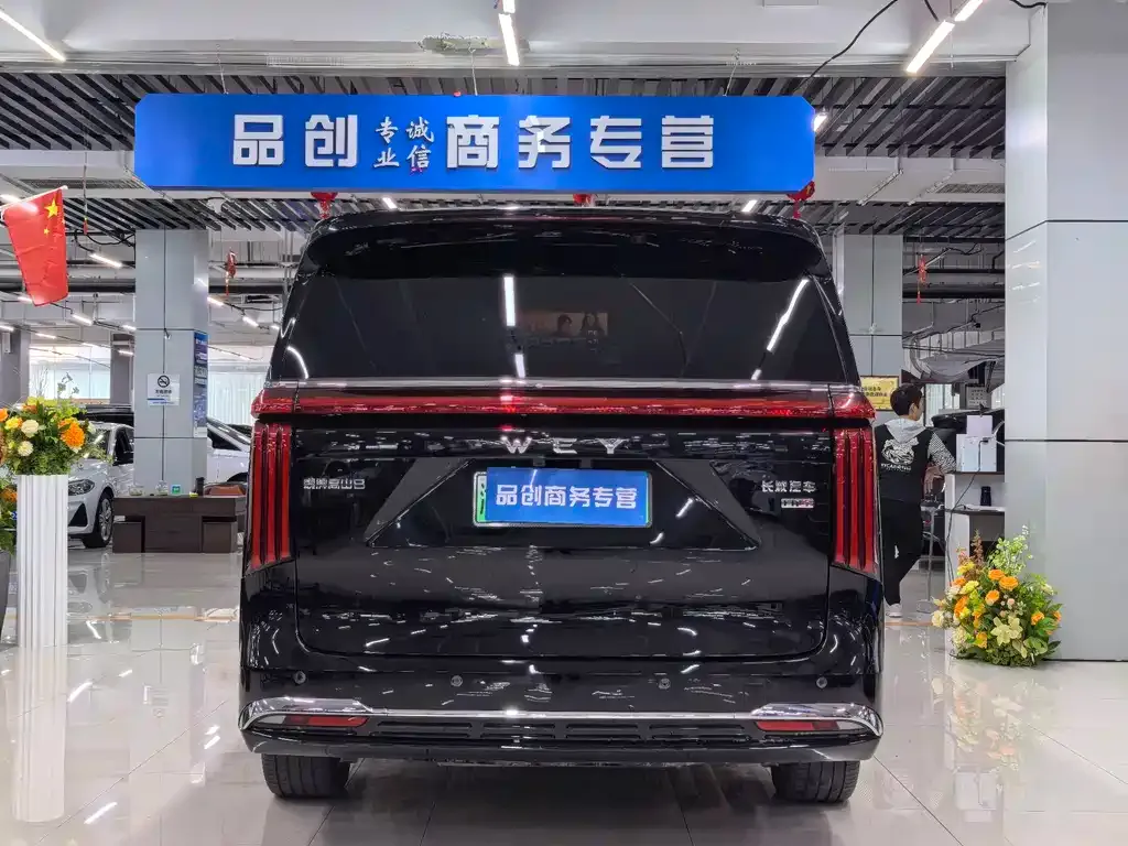Wey Gaoshan 2025 из CN, фото 3
